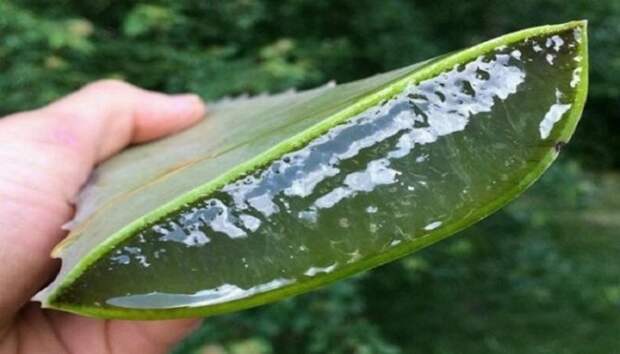 colon-670x383