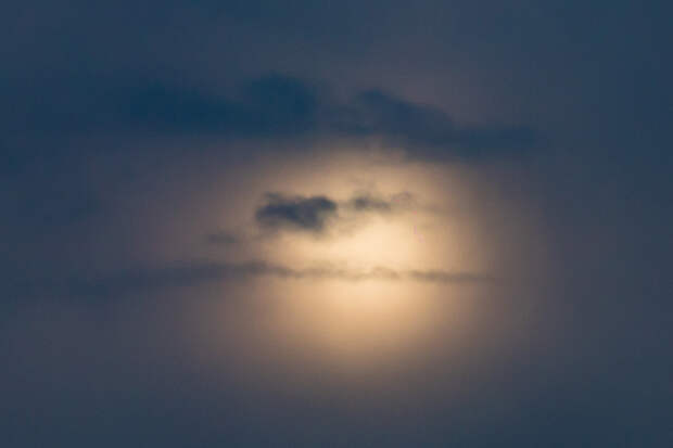 Жители Новосибирска остались без первого солнечного затмения 2026 года