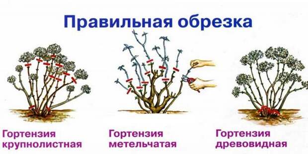 4920201_Obrezka (700x351, 90Kb)
