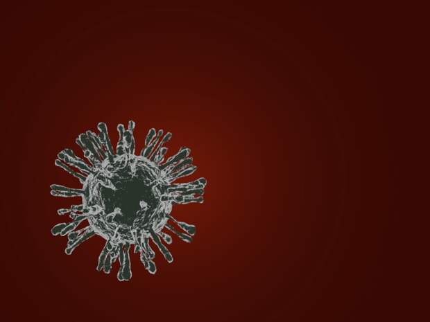 Сразу 36 новых случаев коронавируса зарегистрированы в Севастополе