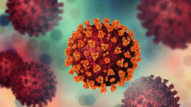 Вирусолог Аграновский призвал подождать более полных данных о штамме коронавируса ХЕ