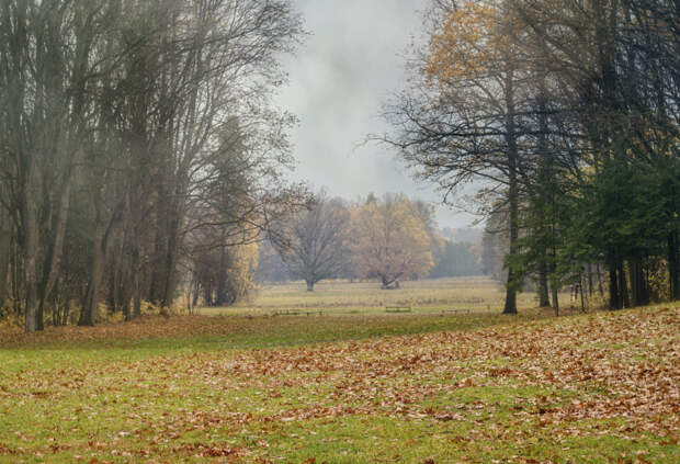 park in Białowieża by Janusz Kanabus on 500px.com