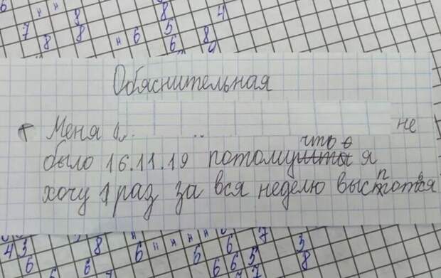 15 объяснительных, которые трудно прочесть без улыбки