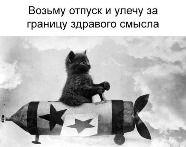 Подборка картинок. Вечерний выпуск (21 фото)