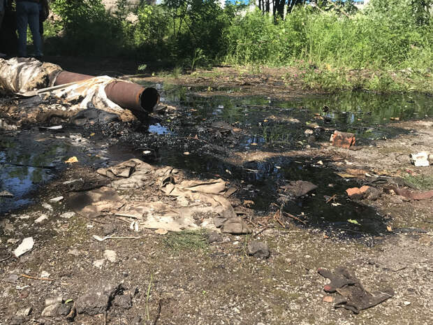 В Туле потратят 41 млн рублей на проект по ликвидации разлива мазута