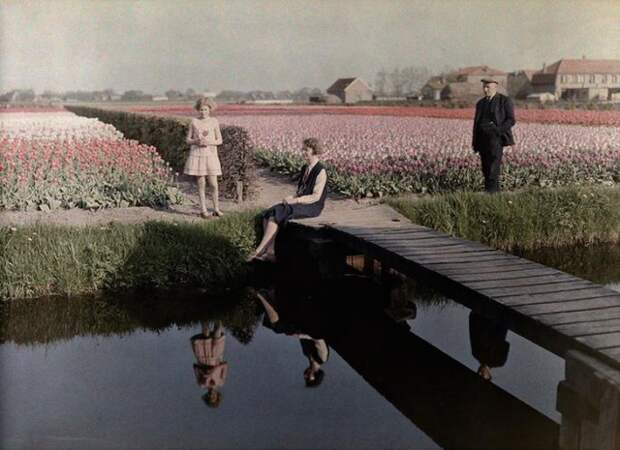 Местные жители отдыхают на тюльпанном поле вдоль канала в Харлеме, Нидерланды, 1931 national geographic, неопубликованное, фото
