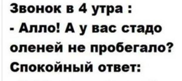 Анекдоты с поучительным финалом