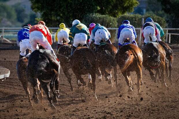 Калмыкия отметила День Победы с конными скачками и спортивными соревнованиями