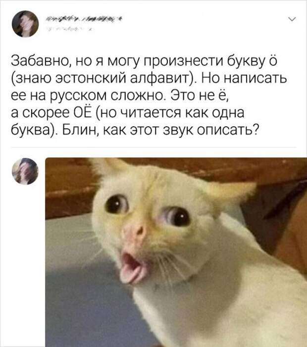 www.vsyako.net