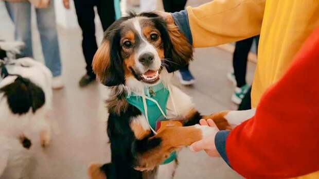 Горожанам рассказали, какие благотворительные мероприятия организуют для горожан столичные НКО в апреле