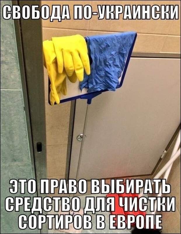 fe00b7e8a6a4.jpg