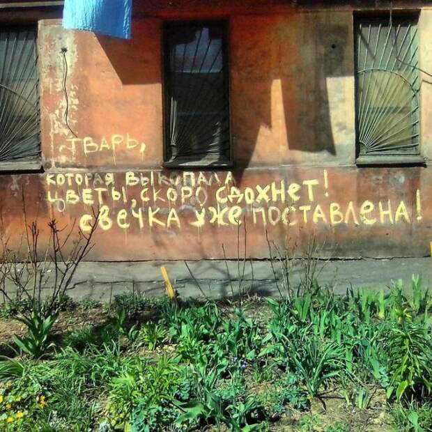 Подборка картинок. Вечерний выпуск (21 фото)