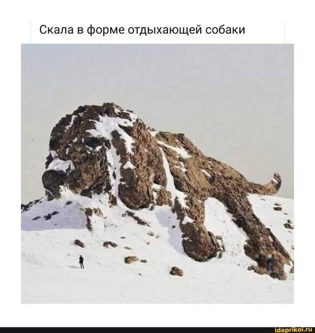 Чуть фотошопа и вы в дамках