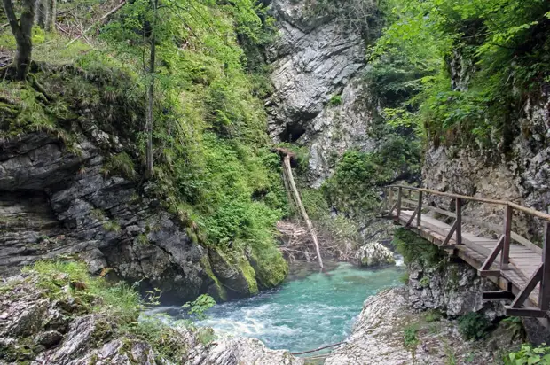 Ущелье Винтгар, Словения