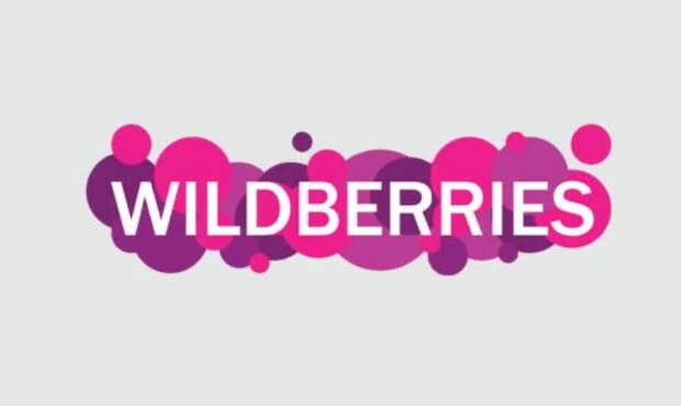 Представитель Wildberries рассказал о давлении иностранных платежных систем