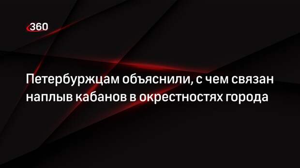 Петербуржцам объяснили, с чем связан наплыв кабанов в окрестностях города