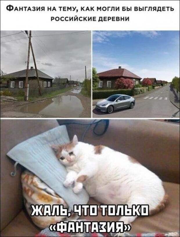 Прикольные картинки в ассортименте!!!