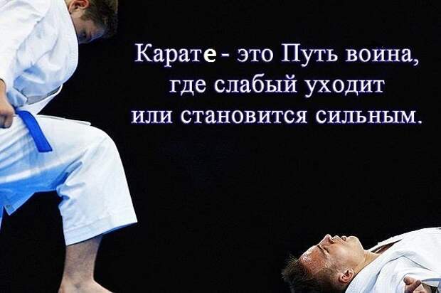 http://kznkarate.ru/uploads/posts/2017-09/1504689409_karate.jpg