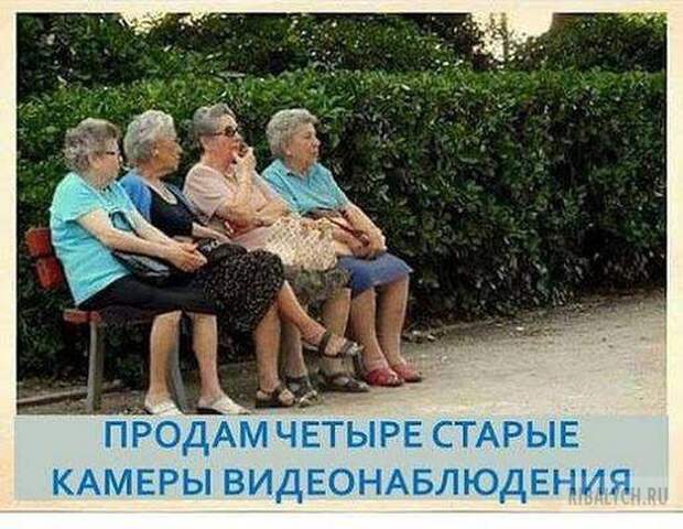 воскресный юмор