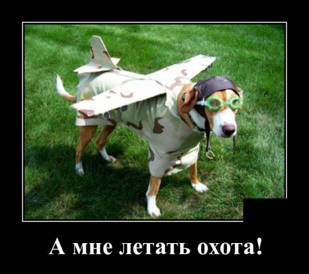 Демотиваторы (30 фото)