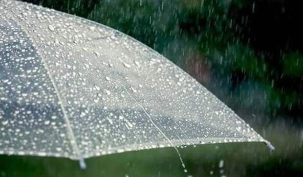 Небольшой дождь ожидается в пятницу в Тюмени