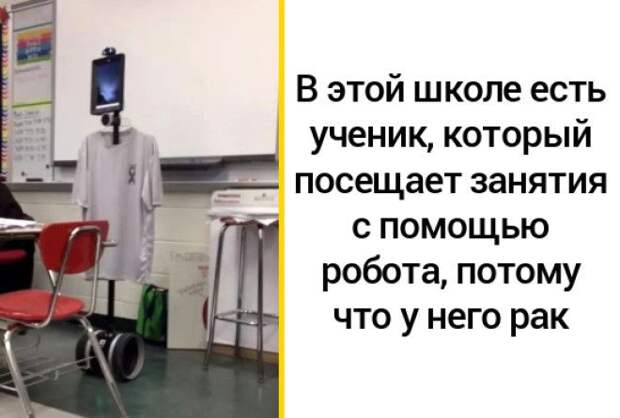 Что из этого было бы неплохо ввести у нас?