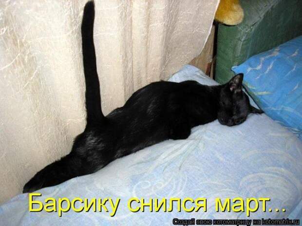 Мысли вслух :)