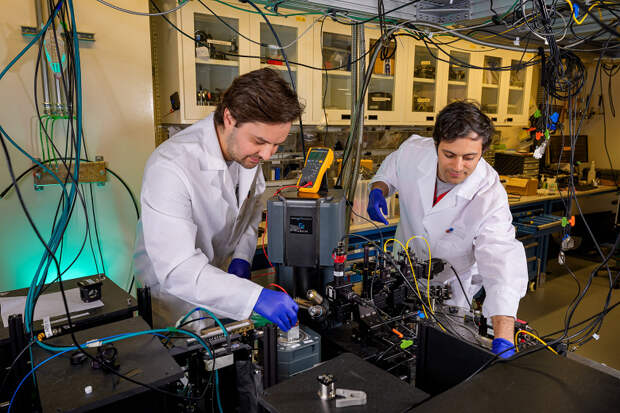 Учёные создали первый в мире квантовый кубит на основе живого белка