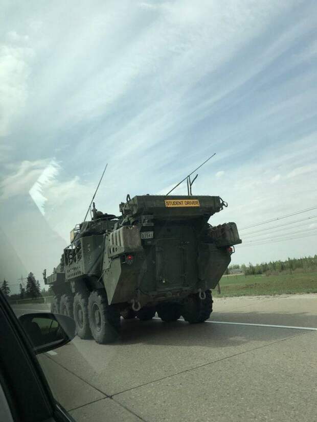 Подборка прикольных картинок