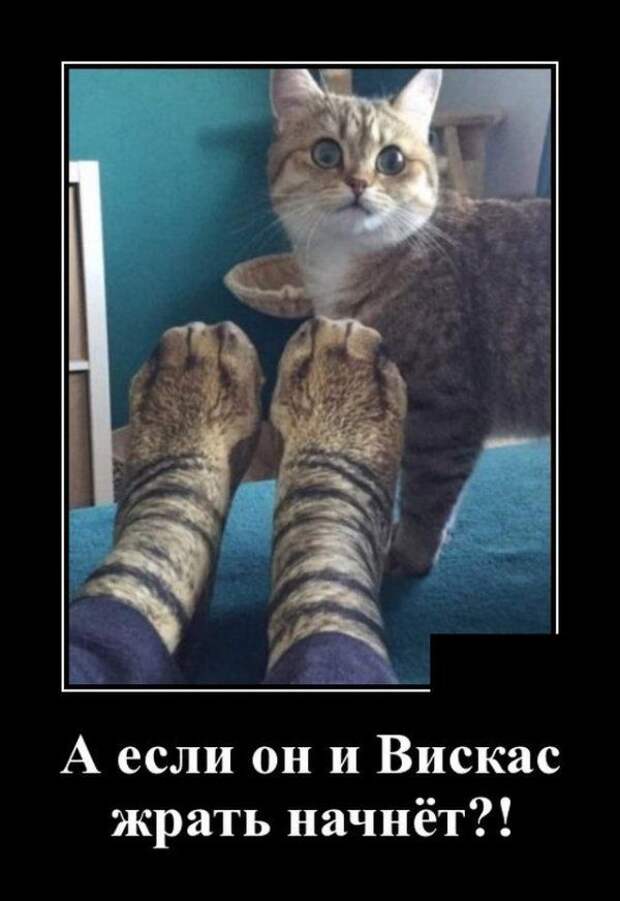 demotivatory-demotivator-smeshnye-demotivatory-demotivator-so-smyslom