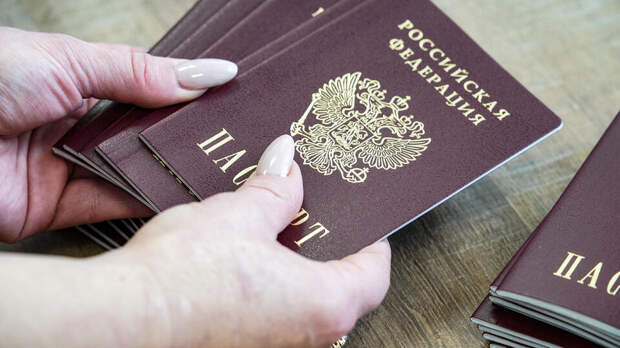 В Общественной палате назвали способы подтверждения возраста в России