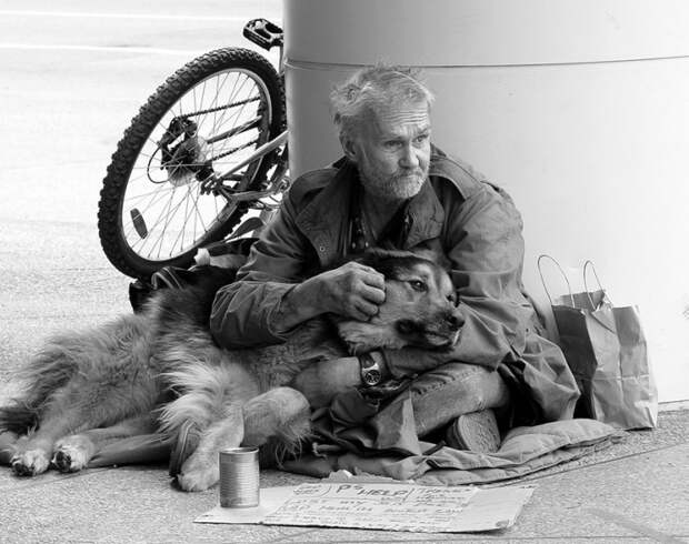 собакам все равно сколько денег, собаки и бездомные, собаки и бомжи, собаки бездомные хозяева