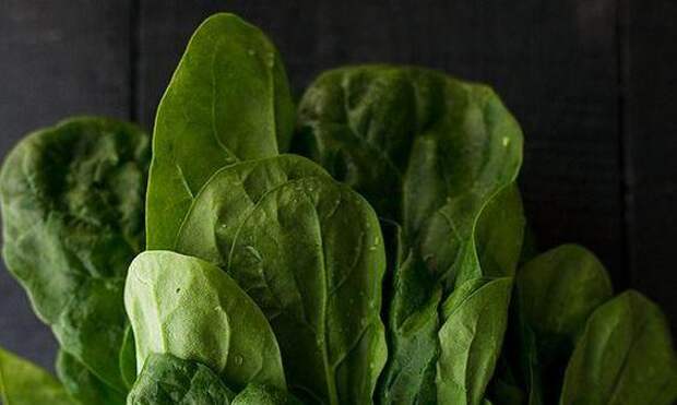 Зеленые витамины: как выбрать зелень «без химии», и как ее правильно есть