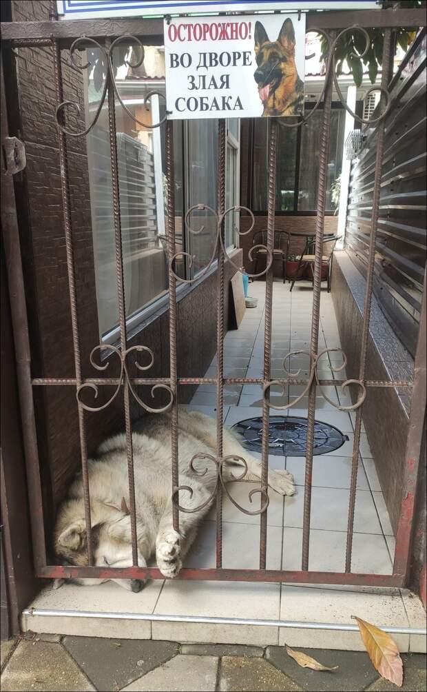 фото приколы