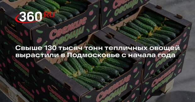 Свыше 130 тысяч тонн тепличных овощей вырастили в Подмосковье с начала года