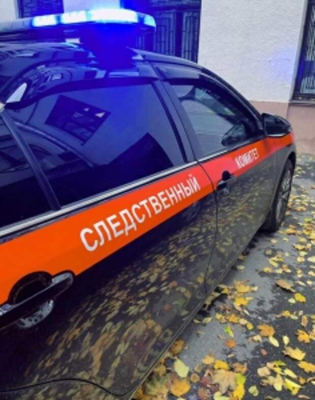 Глава СК России поручил представить доклад о проверке, организованной по факту причинения ребенку телесных повреждений в дошкольном учреждении Москвы