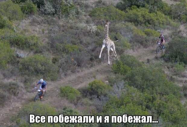 Веселые фотки с надписями (18 фото) . Чёрт побери