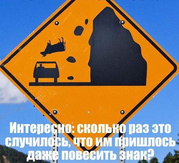 Забавные картинки с надписями для улыбки (12 фото) Забавные картинки с надписями для улыбки (12 фото)