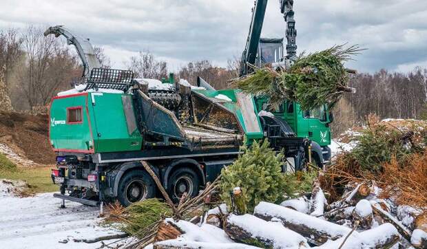 "Елочный круговорот": москвичи сдали на утилизацию 20 тысяч хвойных деревьев