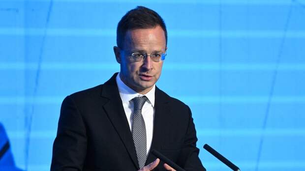 Сийярто: власти Венгрии ожидают вмешательства в выборы со стороны ЕС