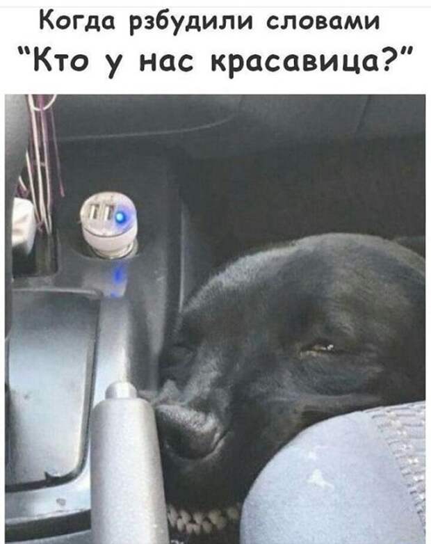 Улетные свежие картинки с надписями (понедельник)