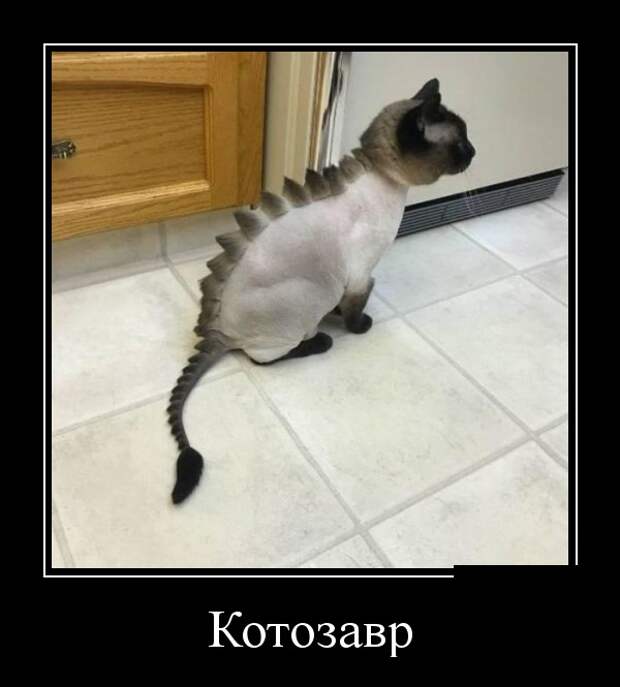 www.vsyako.net