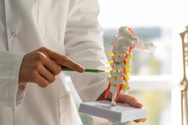 Профессор Стуклов: донорство костного мозга — благое и безопасное дело