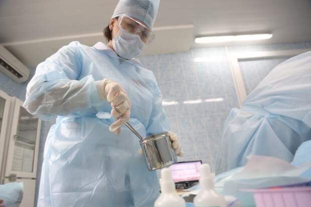 Фото: Артур Новосильцев