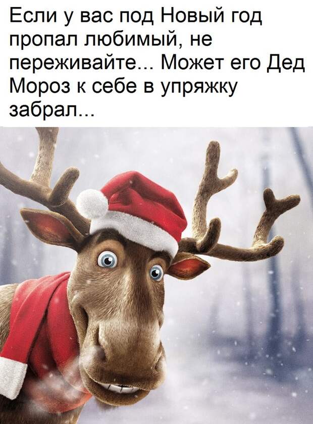 Островок позитива к Новому году картинки, новый год, позитив