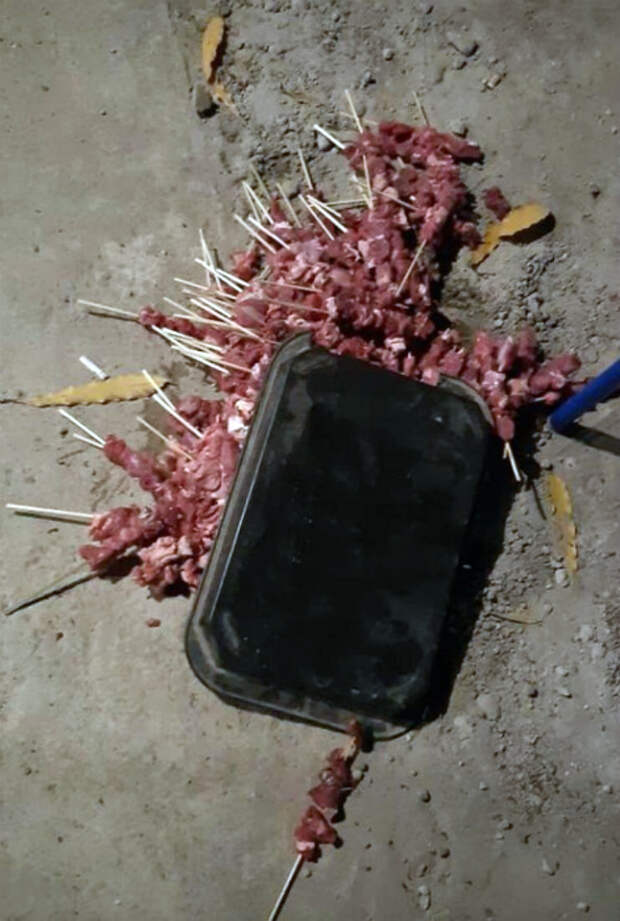 «Мммм, шашлычок со вкусом песка...» | Фото: Imgur.