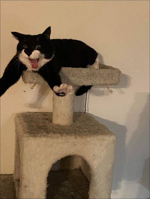 фото приколы