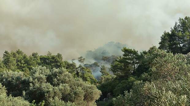 Дым от лесных пожаров в районе деревни Хисарёню в окрестностях турецкого города Мармарис - РИА Новости, 1920, 03.08.2021