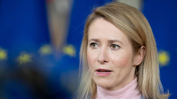 СК: Каллас заочно предъявлено обвинение в уничтожении советских памятников