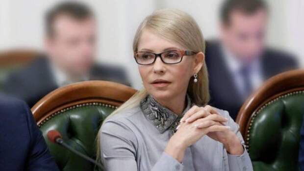 Провокация против Тимошенко обернулась мордобоем